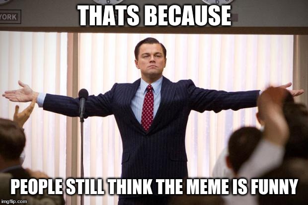 wolf of wallstreet | THATS BECAUSE PEOPLE STILL THINK THE MEME IS FUNNY | image tagged in wolf of wallstreet | made w/ Imgflip meme maker