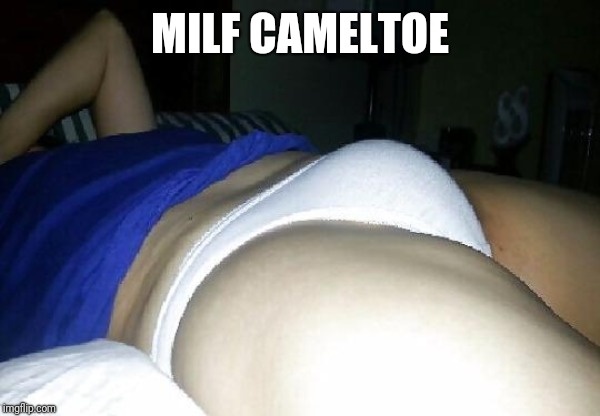 Cameltoe | MILF CAMELTOE | image tagged in cameltoe | made w/ Imgflip meme maker