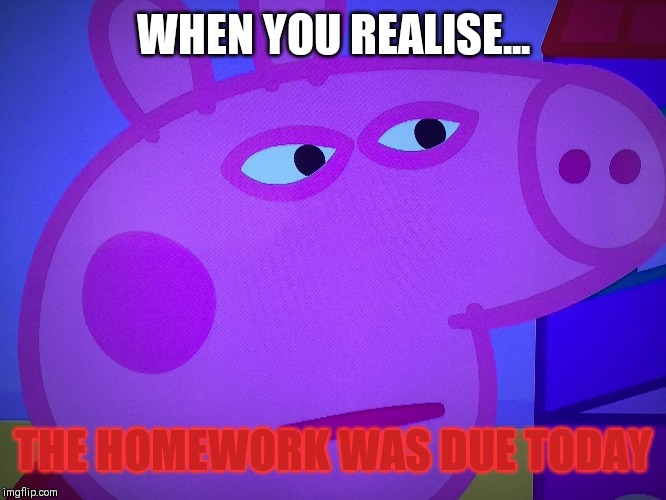 What did you say Peppa Pig | WHEN YOU REALISE... THE HOMEWORK WAS DUE TODAY | image tagged in what did you say peppa pig | made w/ Imgflip meme maker