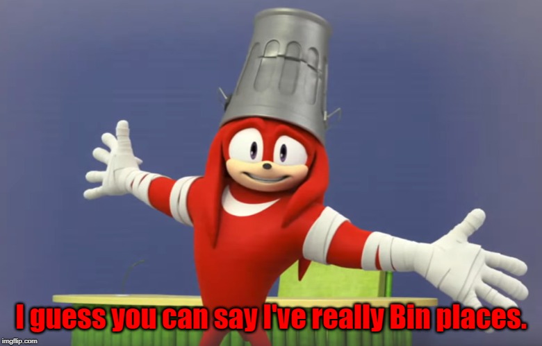 Knuckles' Rubbish Jokes | I guess you can say I've really Bin places. | image tagged in knuckles' rubbish jokes | made w/ Imgflip meme maker