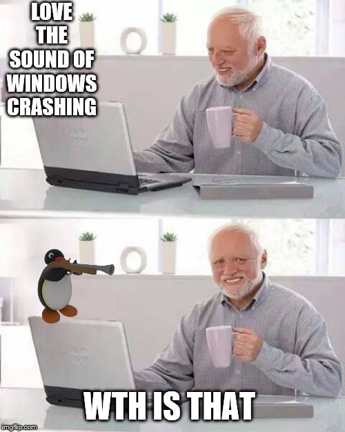 Hide the Pain Harold Meme | LOVE THE SOUND OF WINDOWS CRASHING; WTH IS THAT | image tagged in memes,hide the pain harold | made w/ Imgflip meme maker