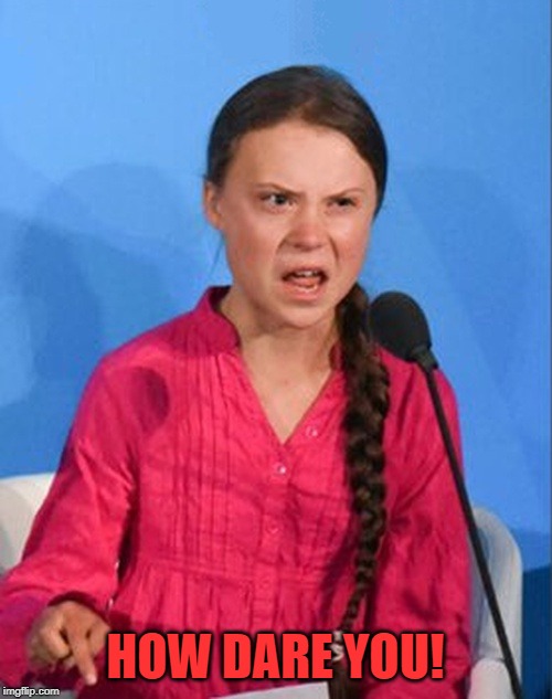 Greta Thunberg how dare you | HOW DARE YOU! | image tagged in greta thunberg how dare you | made w/ Imgflip meme maker