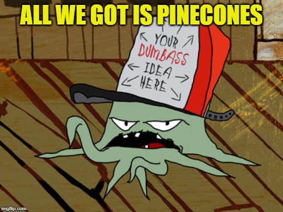 Squidbillies  | ALL WE GOT IS PINECONES | image tagged in squidbillies | made w/ Imgflip meme maker