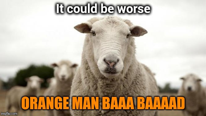 Sheep | It could be worse ORANGE MAN BAAA BAAAAD | image tagged in sheep | made w/ Imgflip meme maker