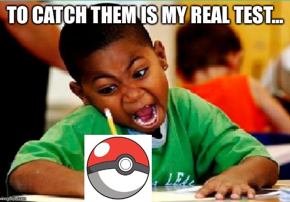 Funny Kid Testing | TO CATCH THEM IS MY REAL TEST... | image tagged in funny kid testing | made w/ Imgflip meme maker