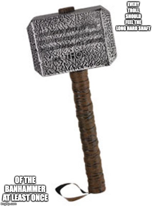 Banhammer Mallet | EVERY TROLL SHOULD FEEL THE LONG HARD SHAFT; OF THE BANHAMMER AT LEAST ONCE | image tagged in troll,memes,youtube,mallet | made w/ Imgflip meme maker