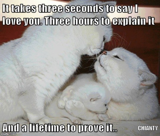 3 Seconds | CHIANTY | image tagged in explain | made w/ Imgflip meme maker