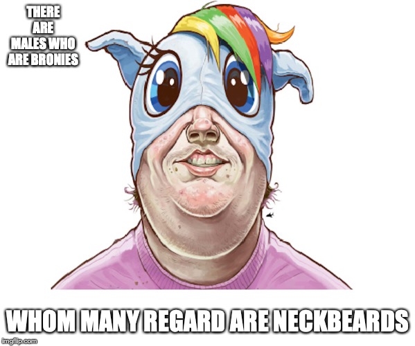 Brony Art | THERE ARE MALES WHO ARE BRONIES; WHOM MANY REGARD ARE NECKBEARDS | image tagged in brony,my little pony,memes | made w/ Imgflip meme maker