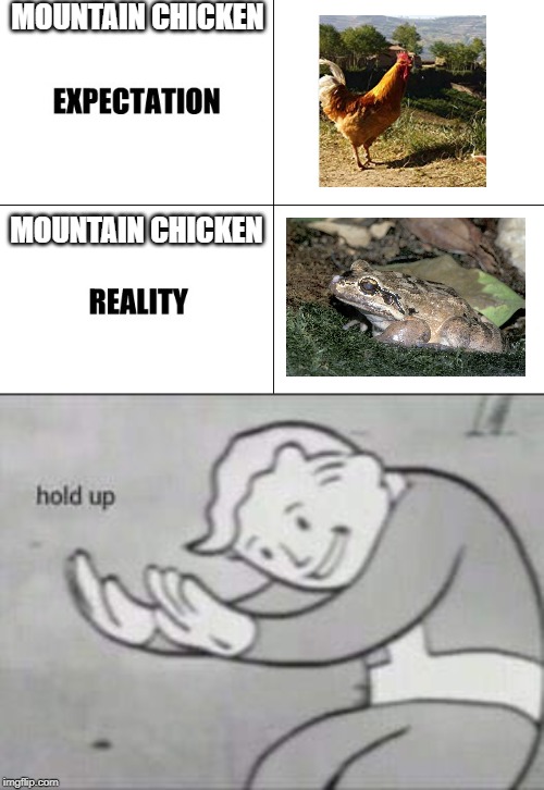 Chiken | MOUNTAIN CHICKEN; MOUNTAIN CHICKEN | image tagged in fallout hold up,expectation vs reality,chicken,frog,what the,what the fuck | made w/ Imgflip meme maker