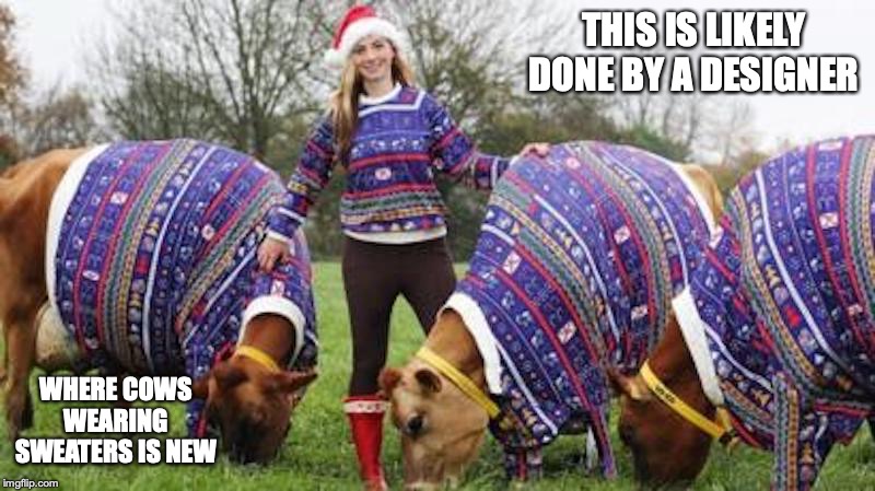 Christmas Cows | THIS IS LIKELY DONE BY A DESIGNER; WHERE COWS WEARING SWEATERS IS NEW | image tagged in christmas,cow,sweater,memes | made w/ Imgflip meme maker