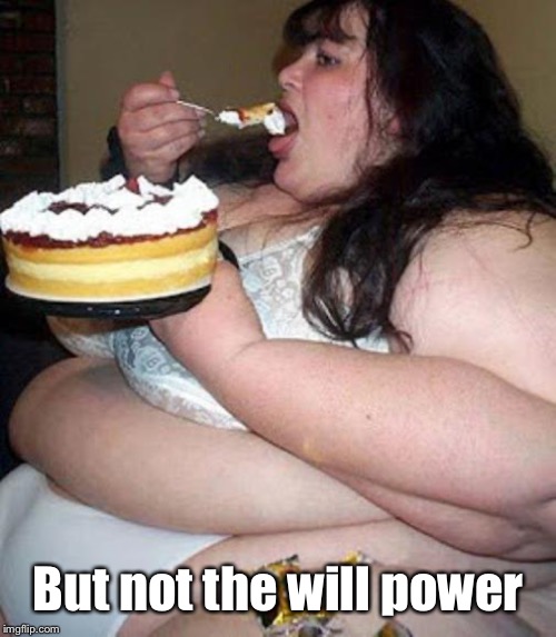 Fat woman with cake | But not the will power | image tagged in fat woman with cake | made w/ Imgflip meme maker