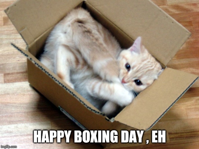 Cat in a Box | HAPPY BOXING DAY , EH | image tagged in cat in a box | made w/ Imgflip meme maker
