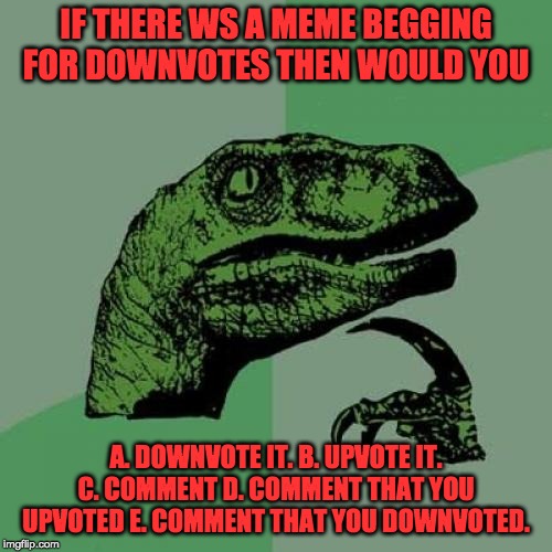 Philosoraptor | IF THERE WS A MEME BEGGING FOR DOWNVOTES THEN WOULD YOU; A. DOWNVOTE IT. B. UPVOTE IT. C. COMMENT D. COMMENT THAT YOU UPVOTED E. COMMENT THAT YOU DOWNVOTED. | image tagged in memes,philosoraptor | made w/ Imgflip meme maker