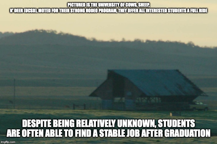 UCSD | PICTURED IS THE UNIVERSITY OF COWS, SHEEP, N' DEER (UCSD), MOTED FOR THEIR STRONG RODEO PROGRAM, THEY OFFER ALL INTERESTED STUDENTS A FULL RIDE; DESPITE BEING RELATIVELY UNKNOWN, STUDENTS ARE OFTEN ABLE TO FIND A STABLE JOB AFTER GRADUATION | image tagged in college,memes | made w/ Imgflip meme maker