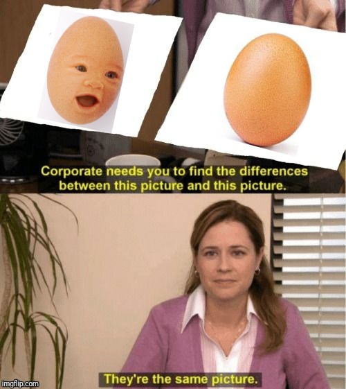 The Baby egg and the Instagram egg | image tagged in corporate needs you to find the differences,eggs,egg,memes,meme | made w/ Imgflip meme maker