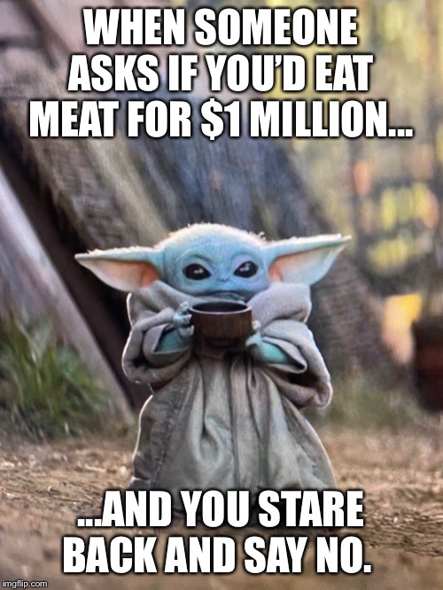 BABY YODA TEA | WHEN SOMEONE ASKS IF YOU’D EAT MEAT FOR $1 MILLION... ...AND YOU STARE BACK AND SAY NO. | image tagged in baby yoda tea | made w/ Imgflip meme maker