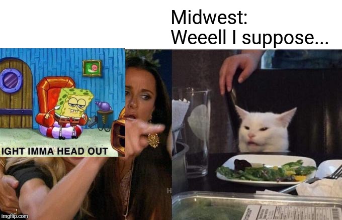 Head out, I suppose | Midwest:
Weeell I suppose... | image tagged in memes,woman yelling at cat,spongebob | made w/ Imgflip meme maker