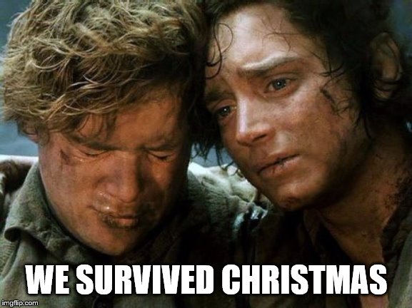 WE MADE IT | WE SURVIVED CHRISTMAS | image tagged in we made it | made w/ Imgflip meme maker