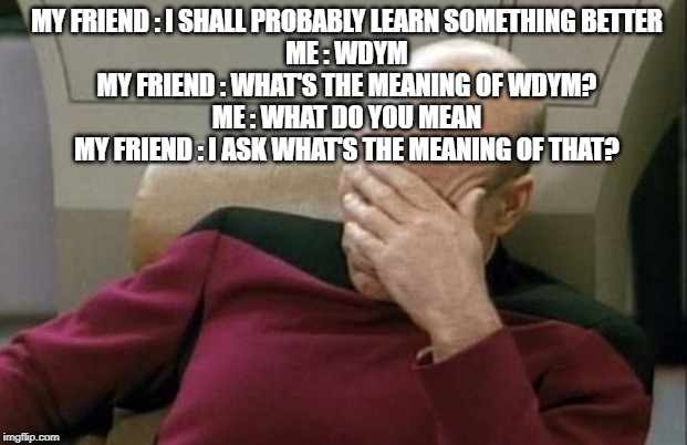 Captain Picard Facepalm Meme | MY FRIEND : I SHALL PROBABLY LEARN SOMETHING BETTER
ME : WDYM
MY FRIEND : WHAT'S THE MEANING OF WDYM?
ME : WHAT DO YOU MEAN
MY FRIEND : I ASK WHAT'S THE MEANING OF THAT? | image tagged in memes,captain picard facepalm | made w/ Imgflip meme maker