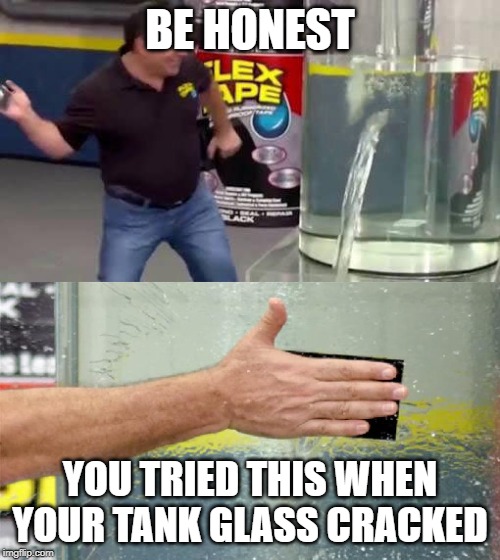 Flex tape | BE HONEST; YOU TRIED THIS WHEN YOUR TANK GLASS CRACKED | image tagged in flex tape | made w/ Imgflip meme maker