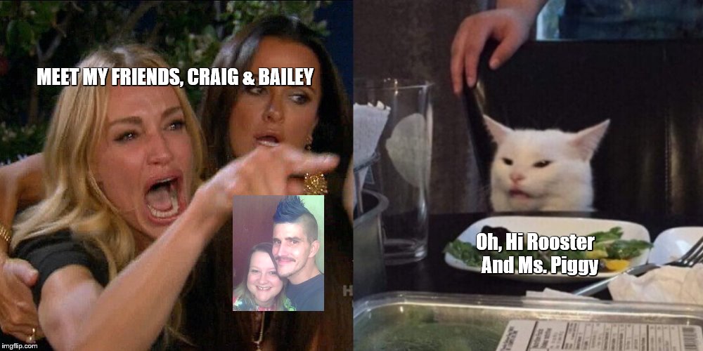 Woman yelling at cat | MEET MY FRIENDS, CRAIG & BAILEY; Oh, Hi Rooster 
And Ms. Piggy | image tagged in woman yelling at cat | made w/ Imgflip meme maker