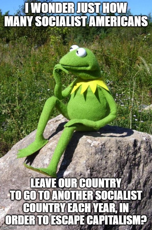 how many American socialist leave to escape capitalism? | I WONDER JUST HOW MANY SOCIALIST AMERICANS; LEAVE OUR COUNTRY TO GO TO ANOTHER SOCIALIST COUNTRY EACH YEAR, IN ORDER TO ESCAPE CAPITALISM? | image tagged in kermit-thinking,socialism vs capitalism | made w/ Imgflip meme maker