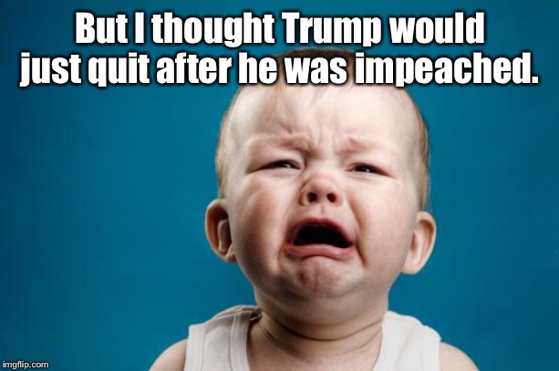 BABY CRYING | But I thought Trump would just quit after he was impeached. | image tagged in baby crying | made w/ Imgflip meme maker