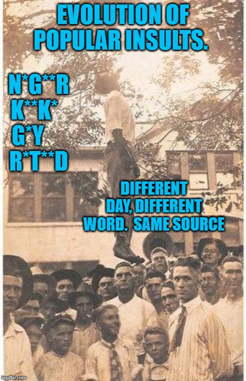 Popular Insults | EVOLUTION OF POPULAR INSULTS. N*G**R
K**K*  
G*Y     
R*T**D; DIFFERENT DAY, DIFFERENT WORD.  SAME SOURCE | image tagged in politics | made w/ Imgflip meme maker