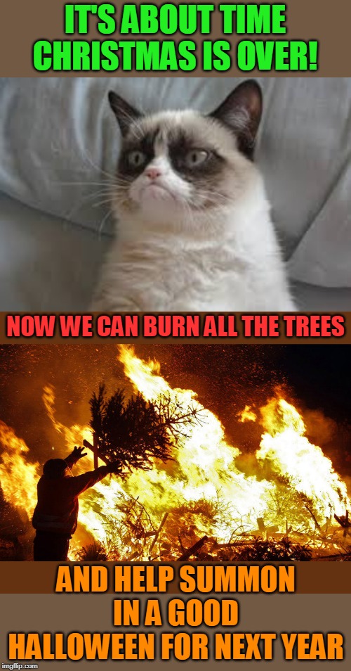 IT'S ABOUT TIME CHRISTMAS IS OVER! NOW WE CAN BURN ALL THE TREES; AND HELP SUMMON IN A GOOD HALLOWEEN FOR NEXT YEAR | image tagged in grumpy cat,memes,halloween,christmas tree,fire | made w/ Imgflip meme maker