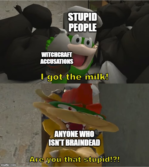Witchcraft Doesn't Exist | STUPID PEOPLE; WITCHCRAFT ACCUSATIONS; I got the milk! ANYONE WHO ISN'T BRAINDEAD; Are you that stupid!?! | image tagged in memes,fishy boopkins,bleach,stupid people,witchcraft,myth | made w/ Imgflip meme maker