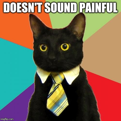 Business Cat Meme | DOESN'T SOUND PAINFUL | image tagged in memes,business cat | made w/ Imgflip meme maker