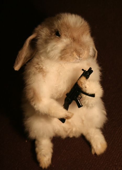 High Quality bunny with gun Blank Meme Template