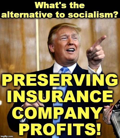 Insurance companies are a lot more important to Trump and the GOP than your sorry *ss. Sorry. | What's the alternative to socialism? PRESERVING INSURANCE COMPANY 
PROFITS! | image tagged in donal trump birthday,socialism,healthcare,pre-existing conditions,insurance,profits | made w/ Imgflip meme maker