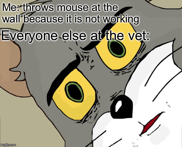 Vet | Me: throws mouse at the wall because it is not working; Everyone else at the vet: | image tagged in memes,unsettled tom,vet | made w/ Imgflip meme maker