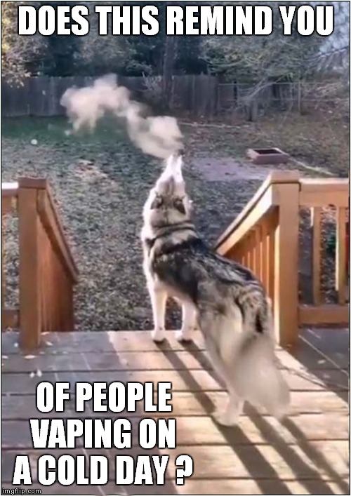 Dog Vaping | DOES THIS REMIND YOU; OF PEOPLE VAPING ON A COLD DAY ? | image tagged in fun,dogs,vaping | made w/ Imgflip meme maker
