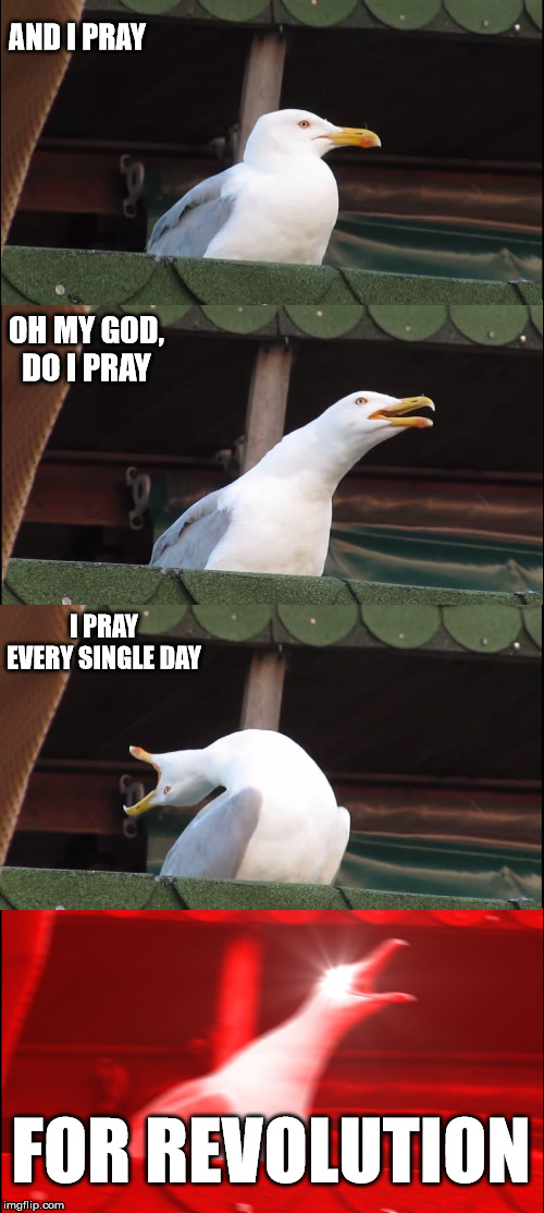 Inhaling Seagull | AND I PRAY; OH MY GOD, DO I PRAY; I PRAY EVERY SINGLE DAY; FOR REVOLUTION | image tagged in memes,inhaling seagull | made w/ Imgflip meme maker