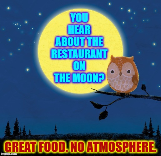Who-Dat Owl, the Stand-Up Comedian | YOU HEAR ABOUT THE RESTAURANT ON THE MOON? GREAT FOOD. NO ATMOSPHERE. | image tagged in vince vance,owl,restaurant,atmosphere,moon,jokes | made w/ Imgflip meme maker