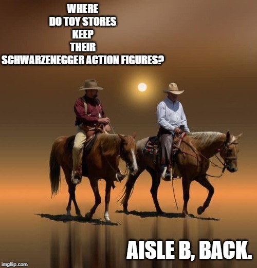 aisle B | WHERE DO TOY STORES KEEP THEIR SCHWARZENEGGER ACTION FIGURES? AISLE B, BACK. | image tagged in two cowboys,swarzneggar,aisle b,back | made w/ Imgflip meme maker