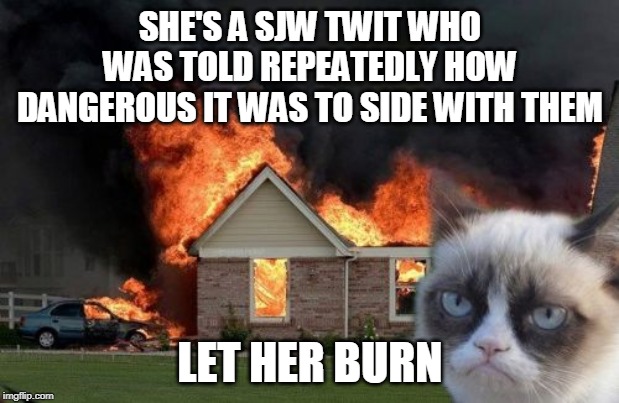 Burn Kitty Meme | SHE'S A SJW TWIT WHO WAS TOLD REPEATEDLY HOW DANGEROUS IT WAS TO SIDE WITH THEM LET HER BURN | image tagged in memes,burn kitty,grumpy cat | made w/ Imgflip meme maker