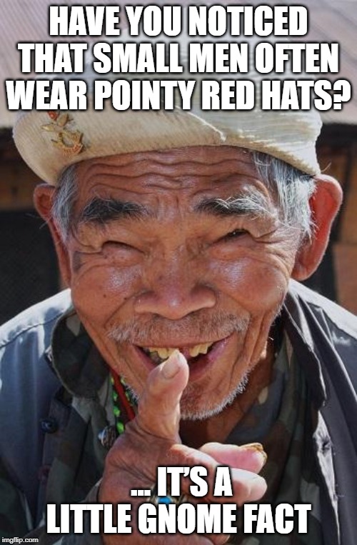 little gnome fact | HAVE YOU NOTICED THAT SMALL MEN OFTEN WEAR POINTY RED HATS? ... IT’S A LITTLE GNOME FACT | image tagged in funny old chinese man 1,small men with red pointy hats,gnome fun | made w/ Imgflip meme maker