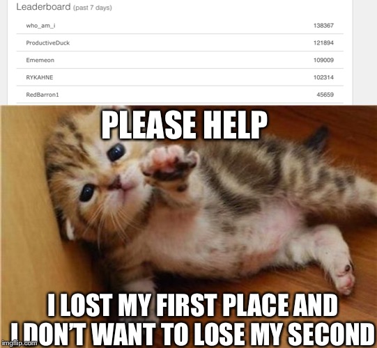 Can someone help me | PLEASE HELP; I LOST MY FIRST PLACE AND I DON’T WANT TO LOSE MY SECOND | image tagged in please help,memes,please,please help me,first place,second | made w/ Imgflip meme maker