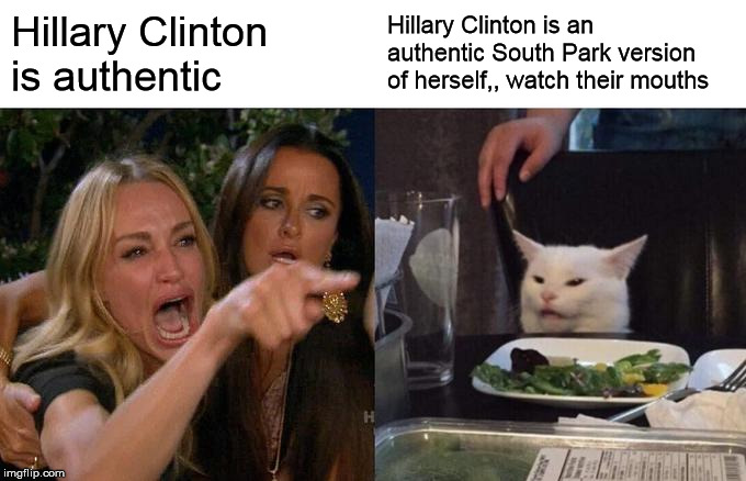 Woman Yelling At Cat | Hillary Clinton is authentic; Hillary Clinton is an authentic South Park version of herself,, watch their mouths | image tagged in memes,woman yelling at cat | made w/ Imgflip meme maker