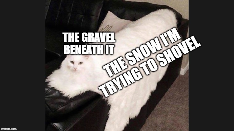 THE GRAVEL BENEATH IT; THE SNOW I'M TRYING TO SHOVEL | image tagged in cat,blanket,couch,snow | made w/ Imgflip meme maker