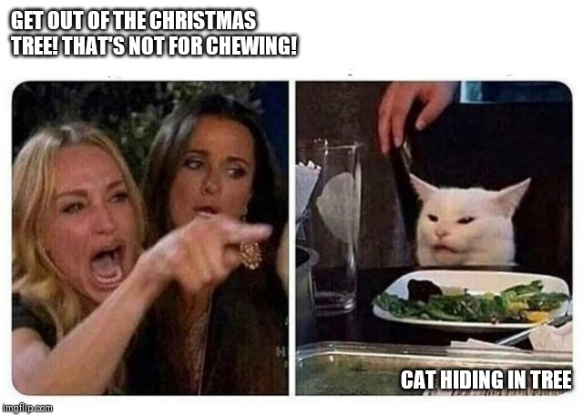 Cat at Dinner | GET OUT OF THE CHRISTMAS TREE! THAT'S NOT FOR CHEWING! CAT HIDING IN TREE | image tagged in cat at dinner | made w/ Imgflip meme maker