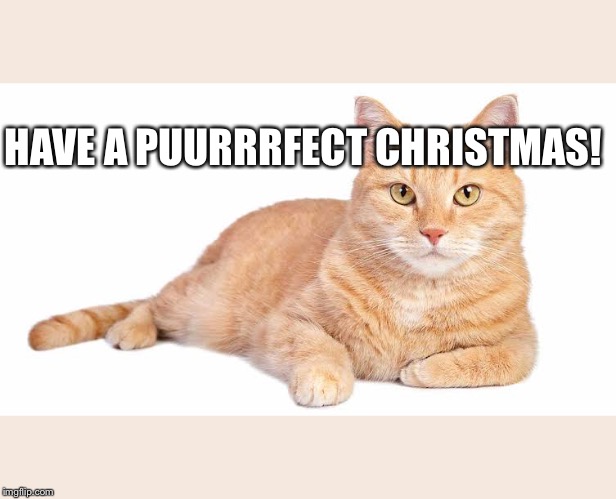 HAVE A PUURRRFECT CHRISTMAS! | image tagged in funny | made w/ Imgflip meme maker