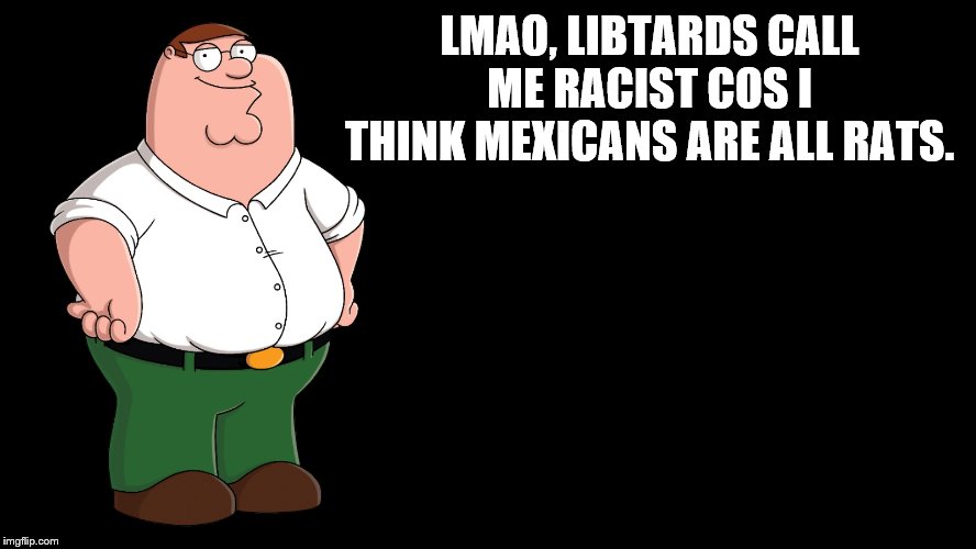 Peter Griffin explains | LMAO, LIBTARDS CALL ME RACIST COS I THINK MEXICANS ARE ALL RATS. | image tagged in peter griffin explains | made w/ Imgflip meme maker