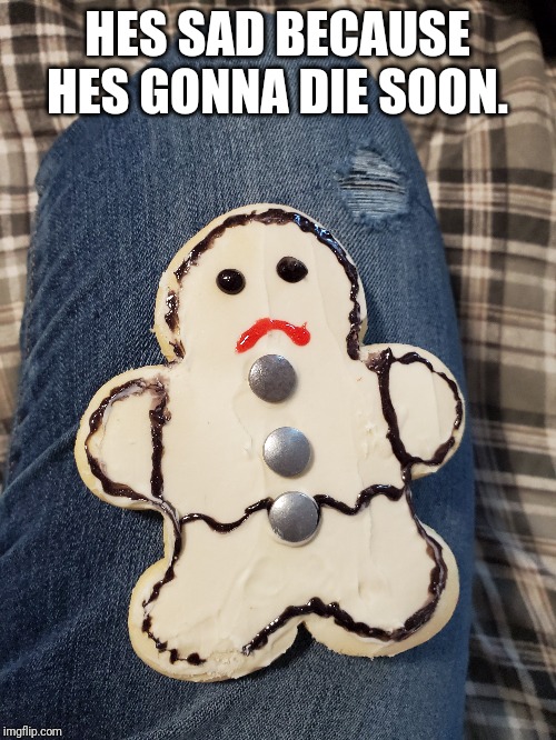 Yes its mine | HES SAD BECAUSE HES GONNA DIE SOON. | image tagged in cookies | made w/ Imgflip meme maker