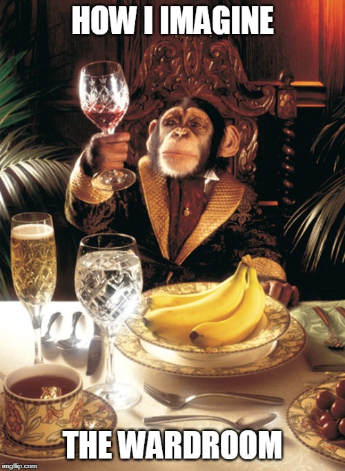 HOW I IMAGINE; THE WARDROOM | image tagged in royal navy,wardroom,chimpanzee,wine | made w/ Imgflip meme maker