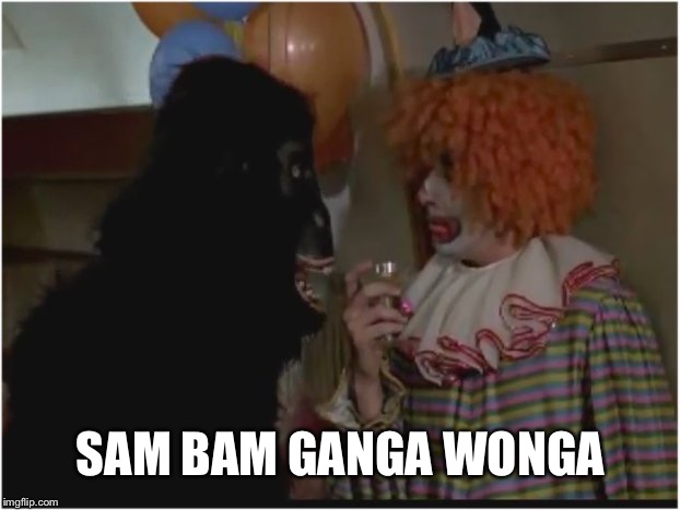 Monkey! I'm a gorilla ya clown! | SAM BAM GANGA WONGA | image tagged in monkey i'm a gorilla ya clown | made w/ Imgflip meme maker