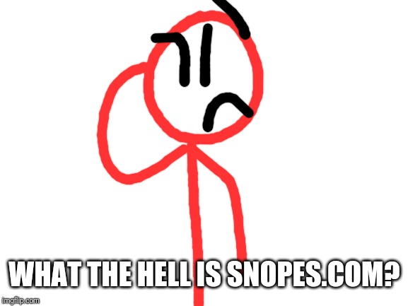 Blank White Template | WHAT THE HELL IS SNOPES.COM? | image tagged in blank white template | made w/ Imgflip meme maker